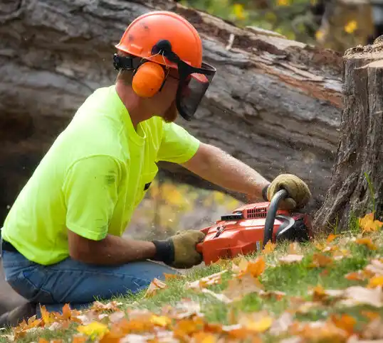 tree services Ludington